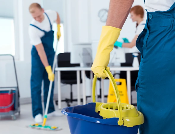 Routine Residential Cleaning Services in Miami FL