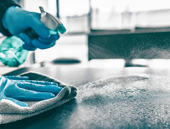 Home Cleaning & Maintenance Services in Florida